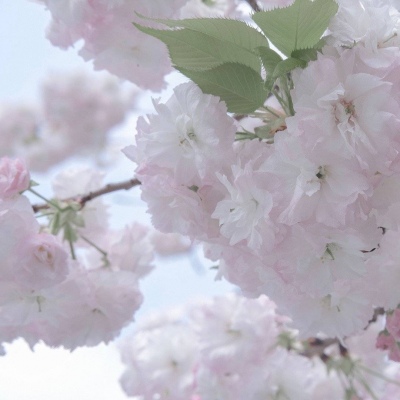 宜章FurryQQ群介绍